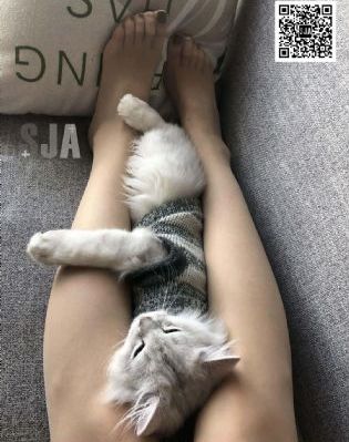国产色情伦理电影在线观看伦理聚合_1080在线视频播放